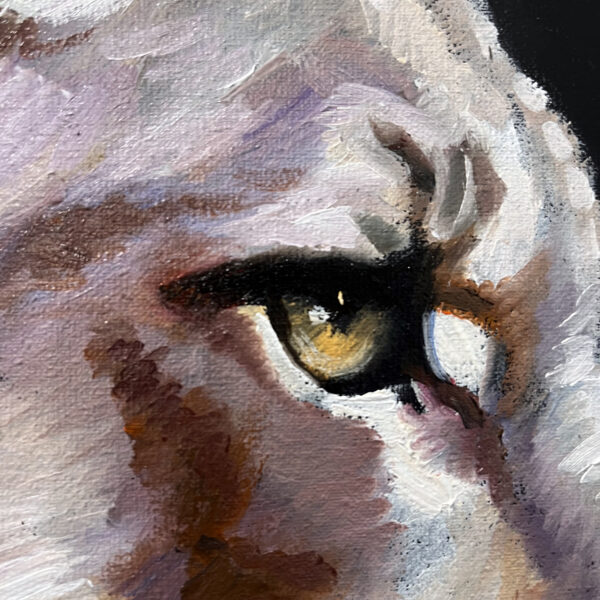 Mountain Lion Oil Painting